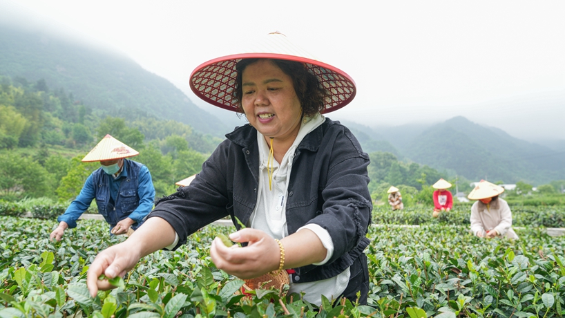 守“綠”換“金”,！大別山區(qū)“兩山”實踐創(chuàng)新基地觀察