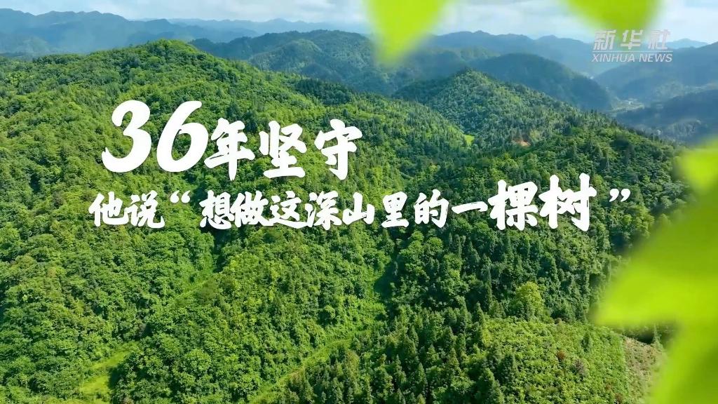 36年堅守,！他說“想做這深山里的一棵樹”