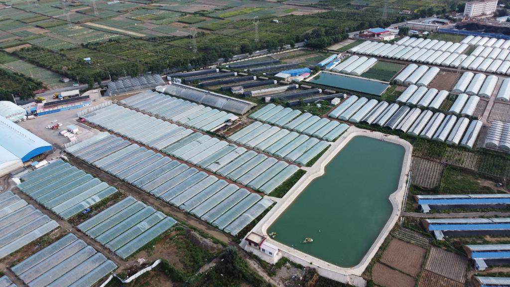 走進縣城看發(fā)展丨甘肅榆中：繪就宜居宜業(yè)新圖景