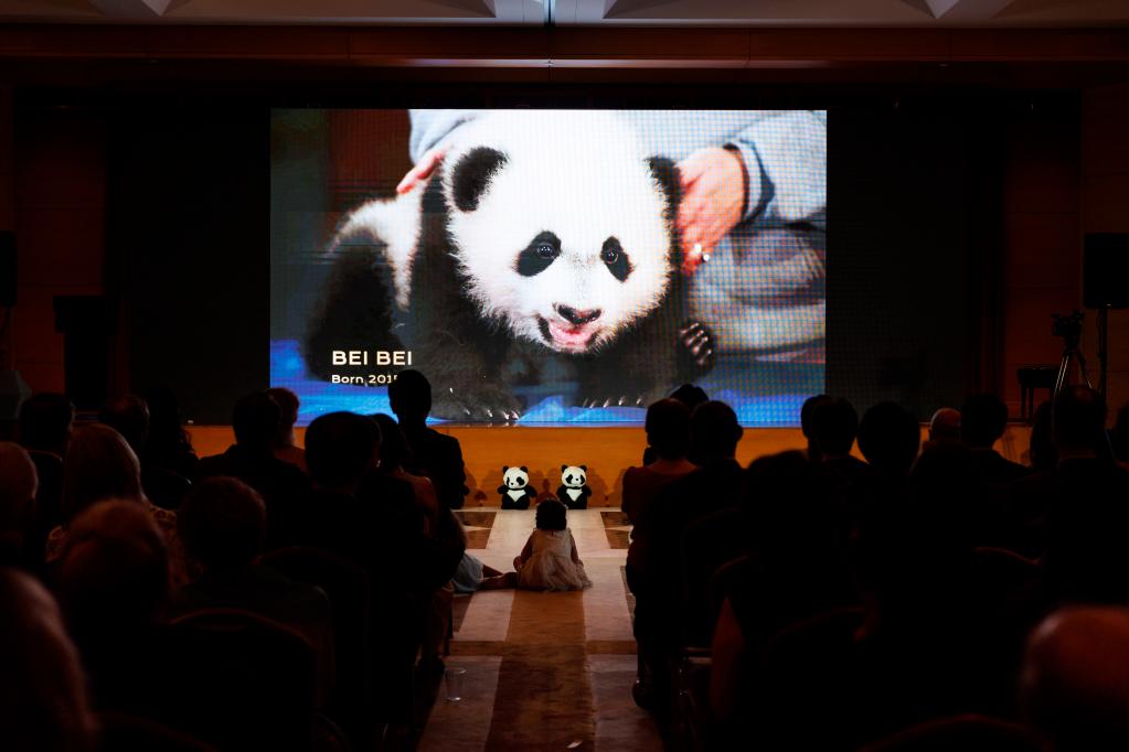 中國駐美使館同美國史密森學會國家動物園聯(lián)合舉辦“大熊貓之夜”招待會