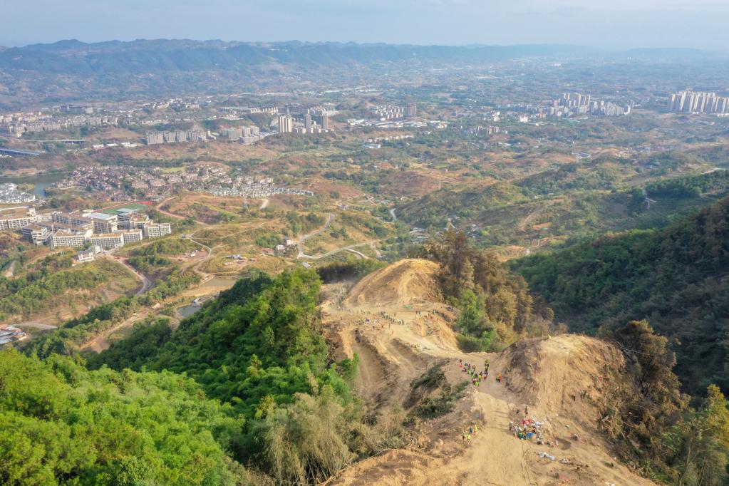 新華全媒+丨重慶市森林火災(zāi)各處明火已全部撲滅