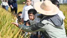 農(nóng)場里的幼兒自然課