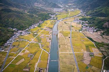 浙江建德：水稻秋收忙