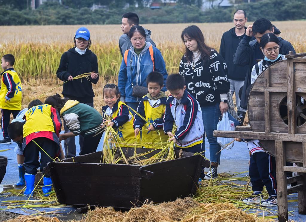 千畝稻田里開(kāi)啟豐收旅游季