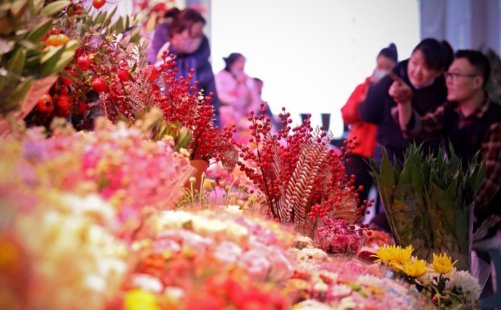 新春走基層丨“花潮”涌動年味濃 姹紫嫣紅喜迎春