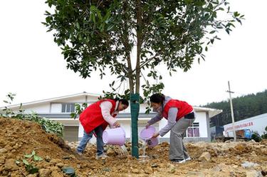 貴州：義務(wù)植樹為大地添綠