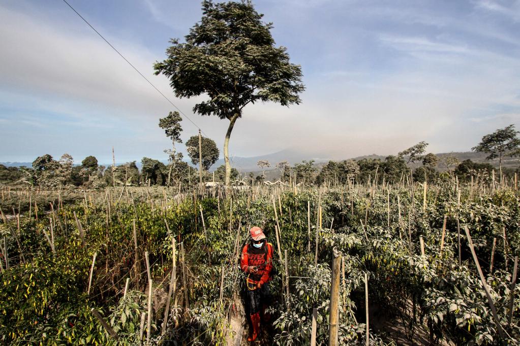 印度尼西亞：默拉皮火山持續(xù)噴發(fā)