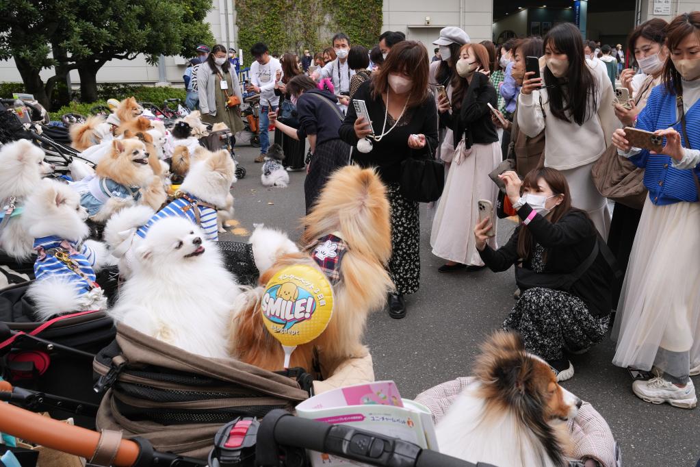 東京舉行國際寵物用品博覽會