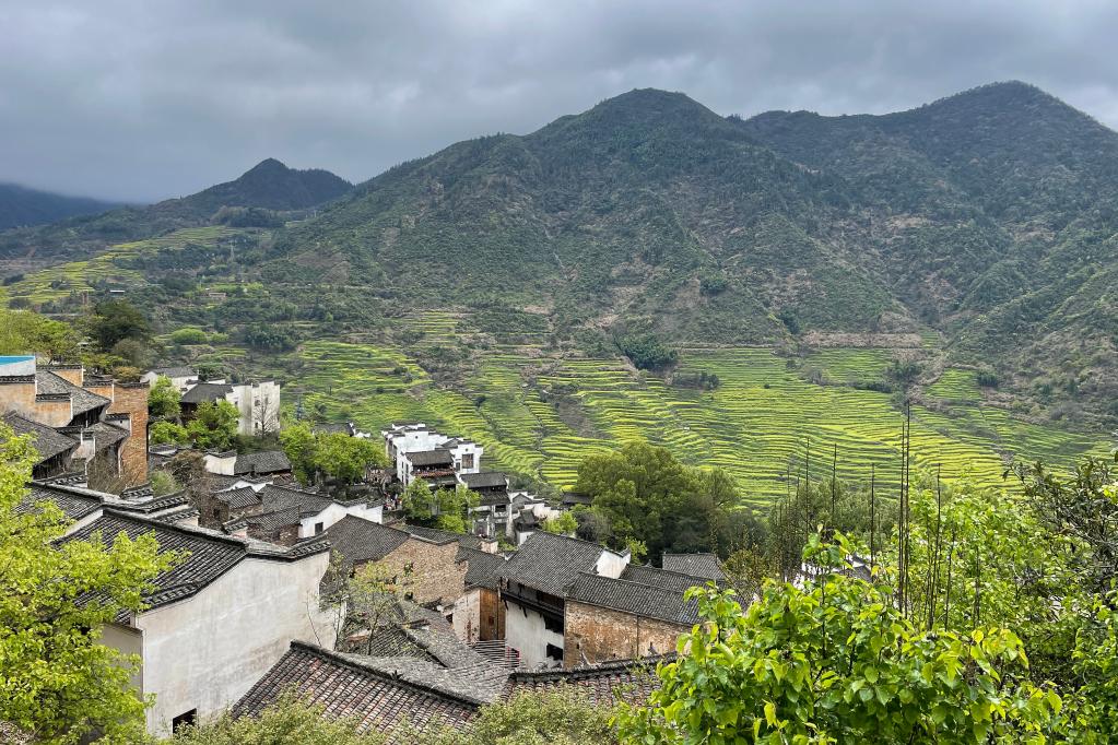 “種風景”的新農(nóng)人