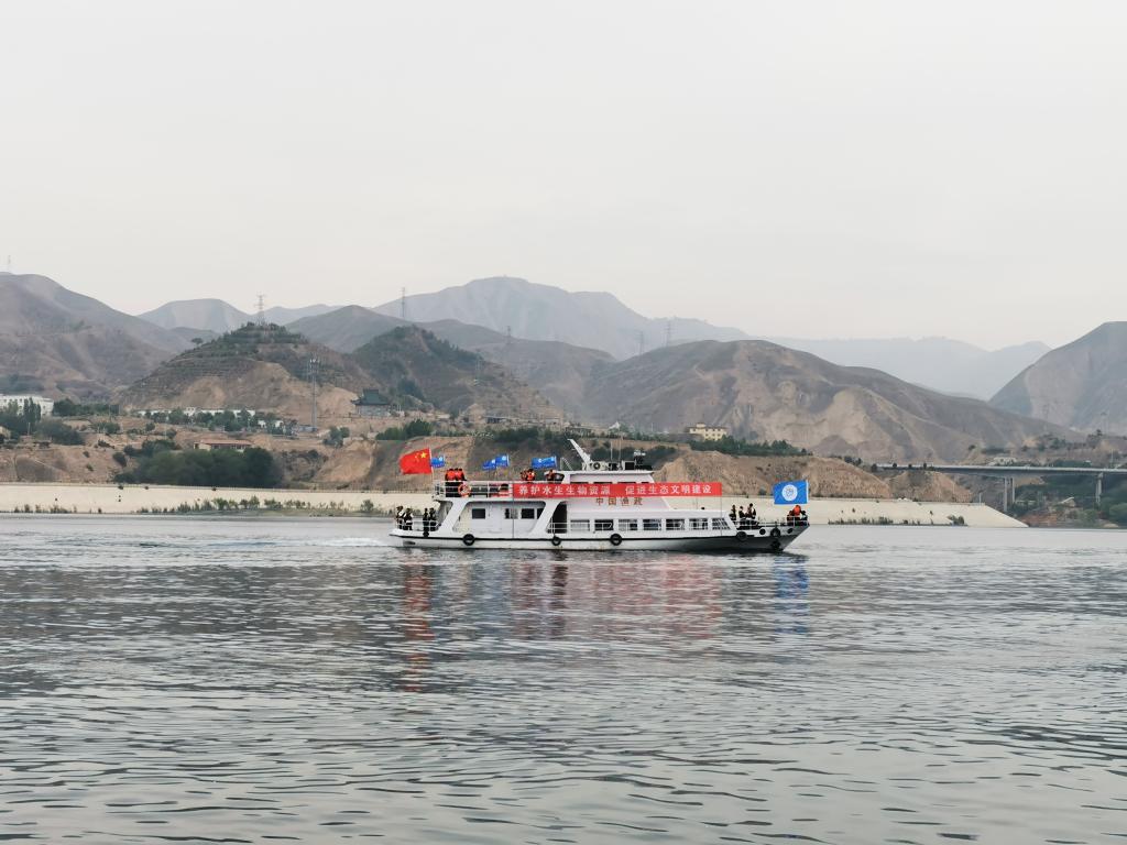 甘肅向劉家峽庫區(qū)放流鰱魚,、鳙魚200萬尾