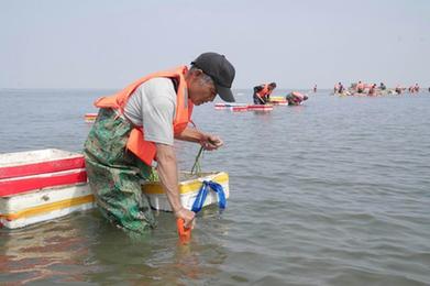 河北唐山：投礁種草修復渤海生態(tài) “海底沙漠”現(xiàn)“綠洲”