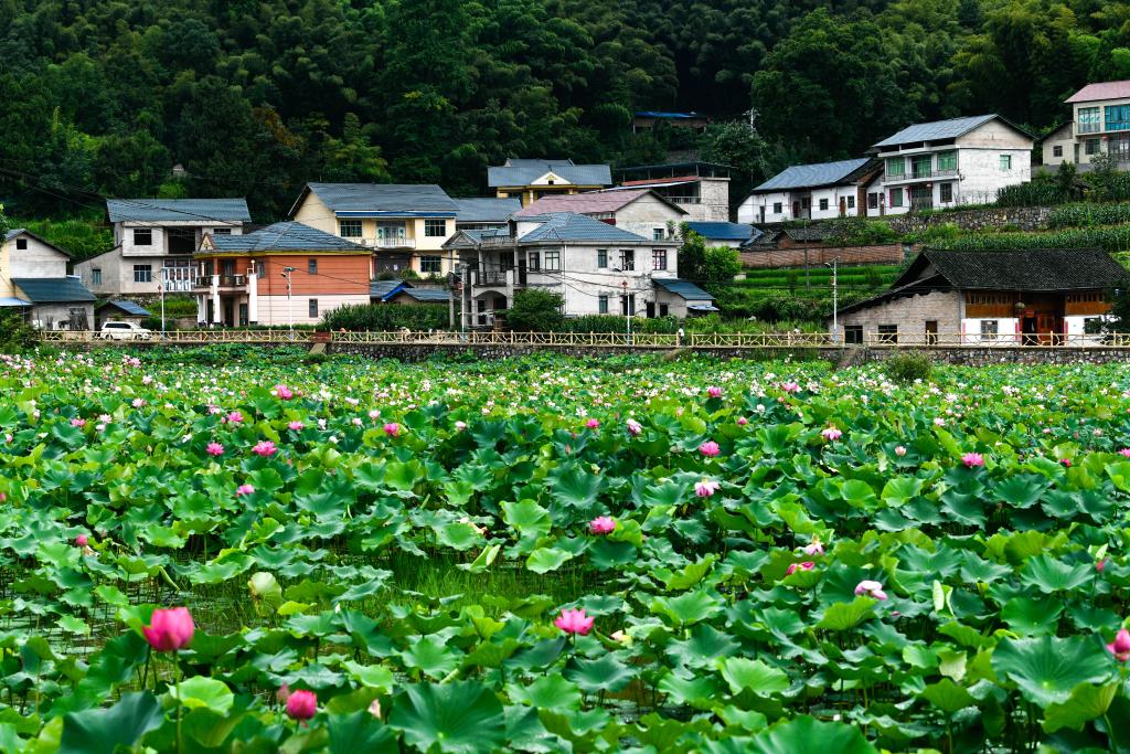 貴州岑鞏：人居環(huán)境整治 扮靚美麗鄉(xiāng)村