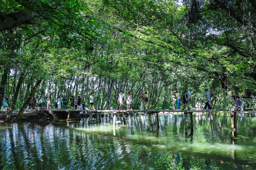 夏日古村旅游熱