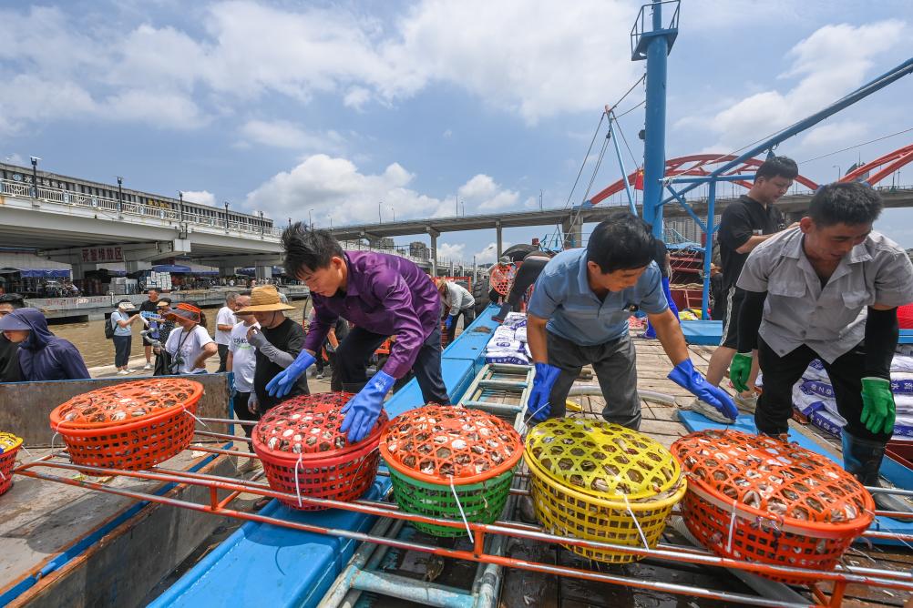 東海“小開漁” 首批新鮮魚獲歸港