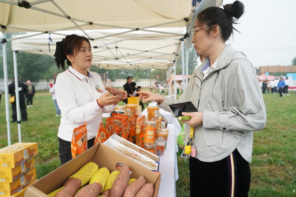 北京平谷：夏各莊鎮(zhèn)第五屆紅薯文化節(jié)開幕