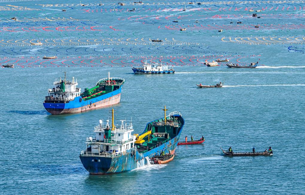 山東榮成：鮑魚“南下”開啟越冬之旅