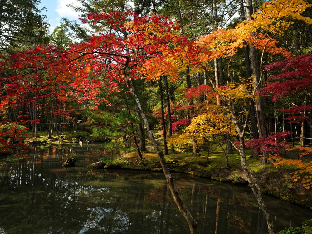 紅葉滿京都