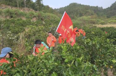 新華全媒+丨福建寧德：在“四下基層”實(shí)踐中培養(yǎng)鍛煉年輕干部