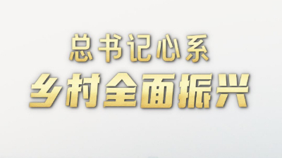 第1視點(diǎn)｜總書記心系鄉(xiāng)村全面振興