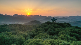 提升生態(tài)碳匯能力,，植樹造林怎么干？