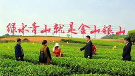 偉大變革丨“治未病”“治已病”“防復發(fā)”——解碼成都“訴源治理”