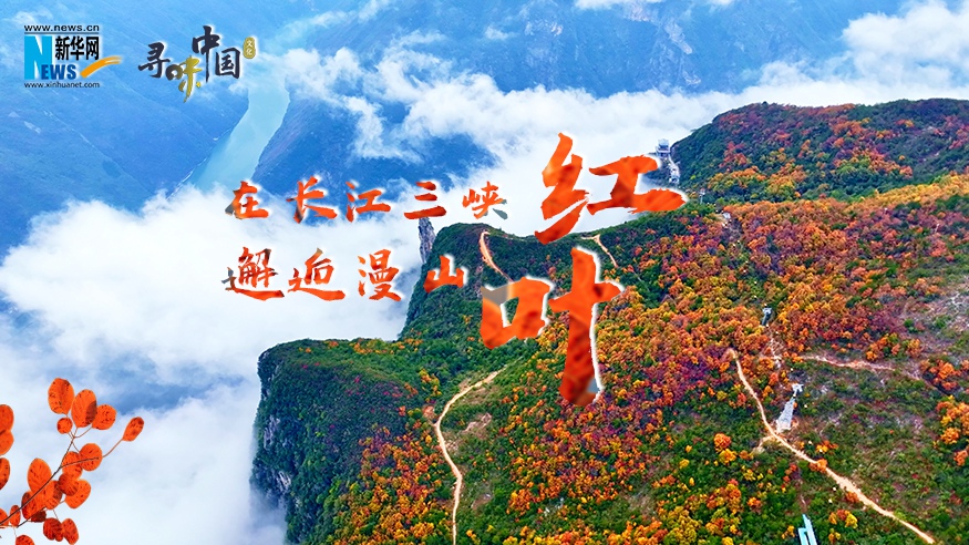 在長(zhǎng)江三峽邂逅漫山紅葉