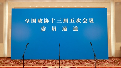 “委員通道”集體采訪活動(dòng)現(xiàn)場(chǎng)