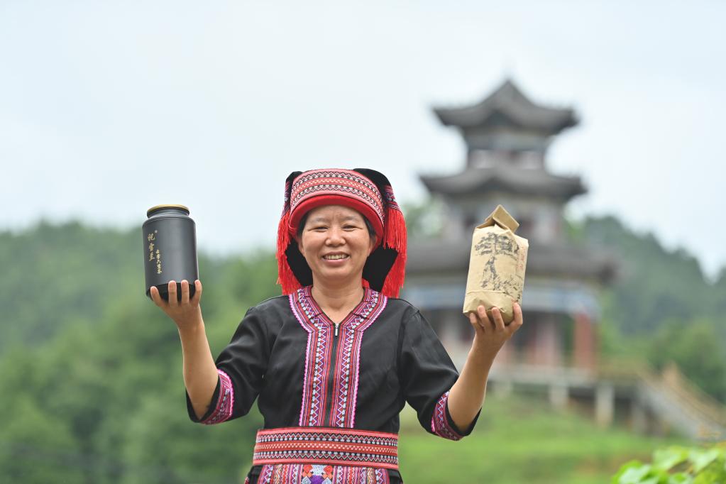 祝雪蘭：以茶為“橋”促增收