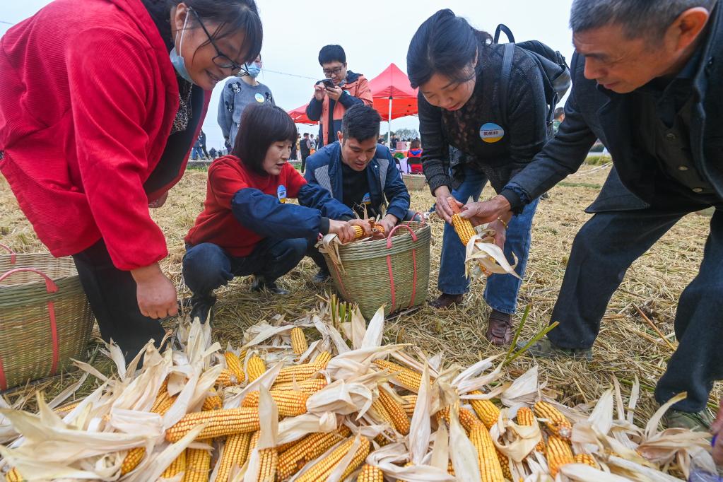 杭州瓶窯舉辦農(nóng)民豐收運動會